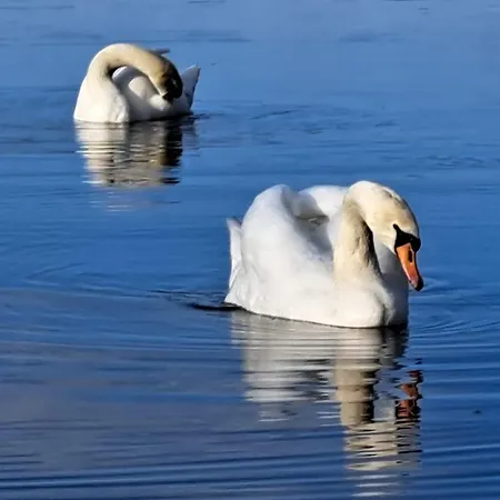 U Ewy Z Balkonem Dla 3 Osob 2pokoje アパート *