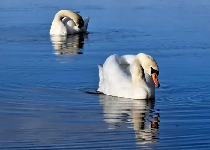 U Ewy Z Balkonem Dla 3 Osob 2pokoje Appartement *